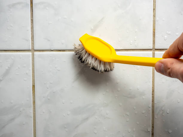 Best Mold Remediation Experts  in Vashon, WA