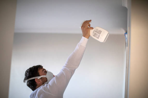 Best Best Mold Removal Companies  in Vashon, WA