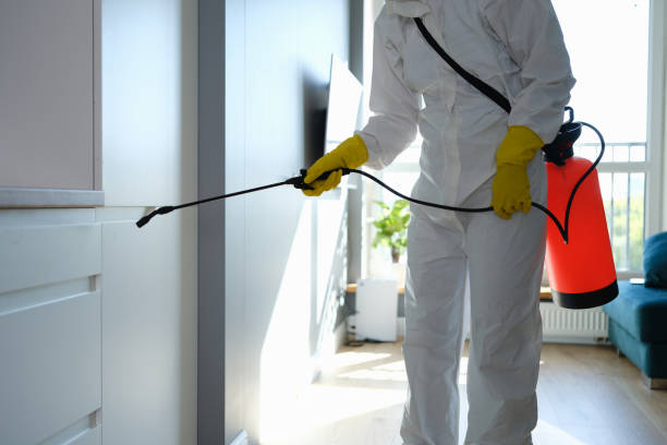 Best Mold Removal Company Near Me  in Vashon, WA