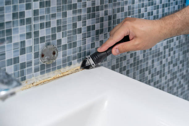 Best Mold Testing  in Vashon, WA